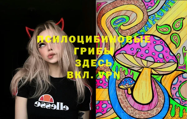 марки lsd Баксан
