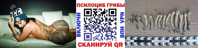 Галлюциногенные грибы MAGIC MUSHROOMS  кракен сайт  Онега  дарнет шоп 
